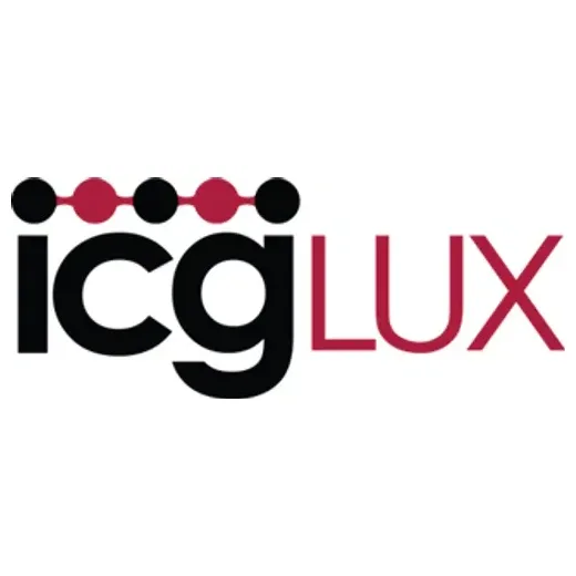 ICG Solutions brand logo for icgsolutions.com