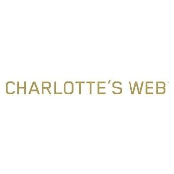 iCharlotte brand logo for icharlotte.com