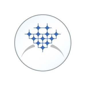 Icing on the Ring brand logo for icingonthering.com