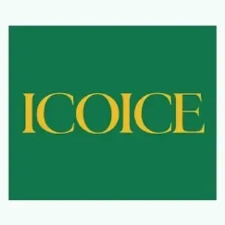 iCoice brand logo for icoice.com