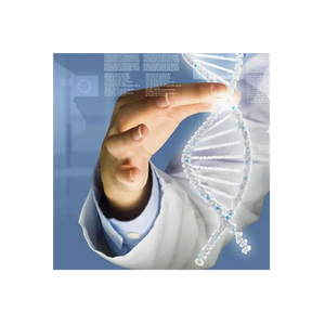 Ideal Pharma brand logo for ideal-pharma.eu