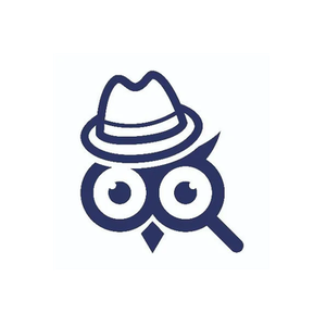 IDWise brand logo for idwise.com