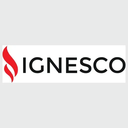 Ignes brand logo for ignes.co