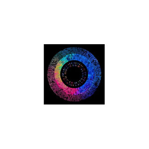 iimagine brand logo for iimagine.ai