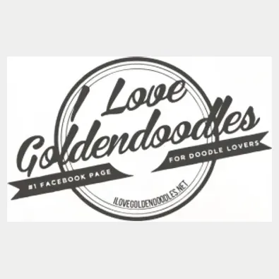 ilovegoldendoodles brand logo for ilovegoldendoodles.net