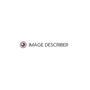 Image Describer brand logo for imagedescriber.online