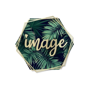 Image Salon brand logo for imagesalon.co.uk