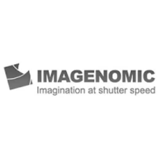 Imagenomic brand logo for imagenomic.com