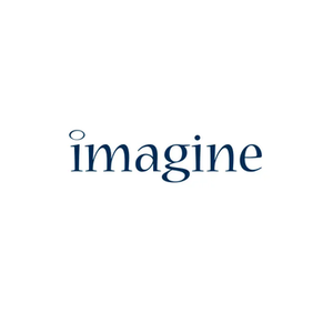 Imagine Ireland brand logo for imagineireland.com