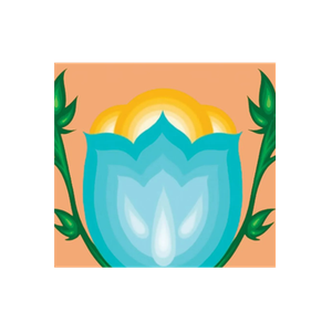 Indigenous Boutique & Spa brand logo for indigenousboutiquespa.com