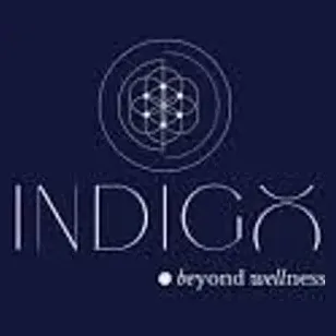 Indigo Wellness Group brand logo for indigowellnessgroup.com