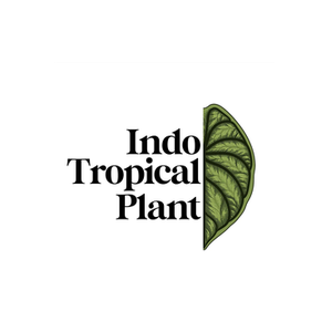 Indo Tropical Plant brand logo for indotropicalplant.com