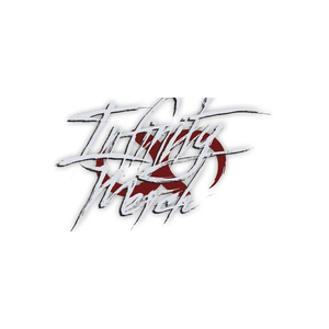 Infinity Merch brand logo for infinity-merch.com
