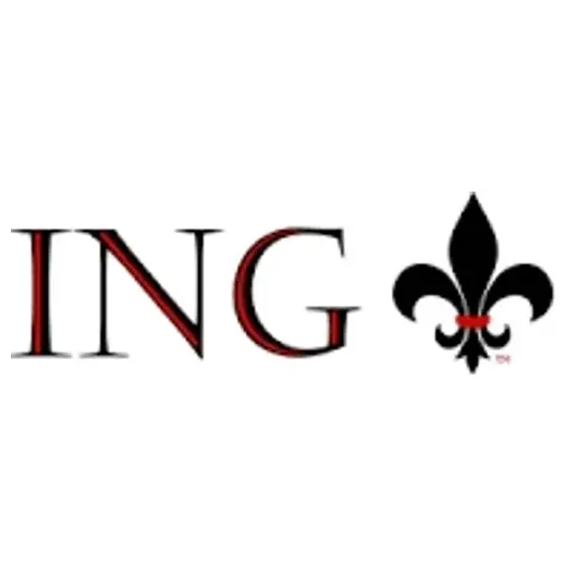 ING Construction brand logo for ingconstruction.com