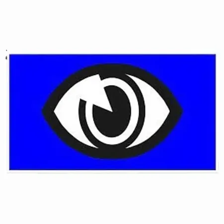 Insight Vision brand logo for insightvisionwi.com