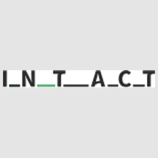 Intact brand logo for intact-systems.com