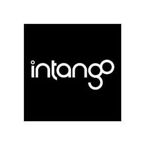 Intango brand logo for intango.com