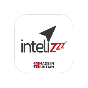 Intelizzz brand logo for intelizzz.co.uk