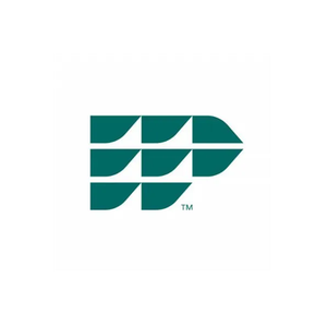 International Paper brand logo for internationalpaper.com