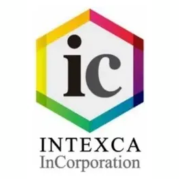 Intex brand logo for intexca.us