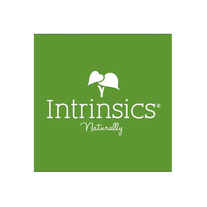 Intrinsics brand logo for intrinsics.net