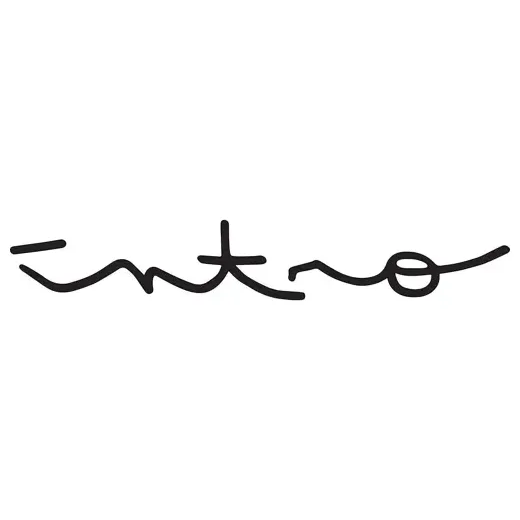Intro Boutique brand logo for introboutique.com