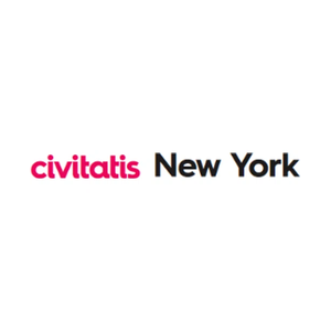 Introducing New York brand logo for introducingnewyork.com