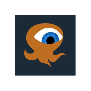 iOctopus brand logo for ioctopus.online