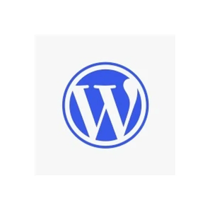 iPeer brand logo for ipeerbhai.wordpress.com