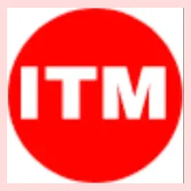 IT Asset Management brand logo for itassetmanagement.in
