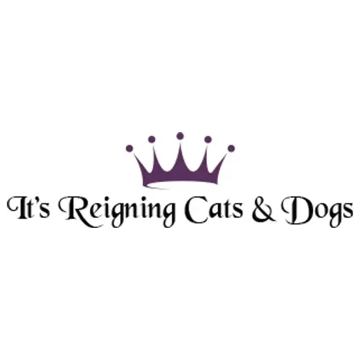 itsreigningcatsanddogs brand logo for itsreigningcatsanddogs.com