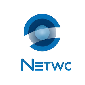 ITZ Networks brand logo for itznetworks.com