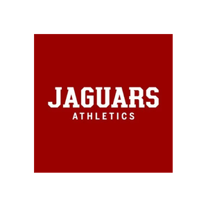 IUPUI Jaguars brand logo for iupuijags.com