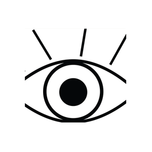 iVisionari brand logo for ivisionari.com