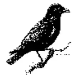 J. Crow's brand logo for jcrowsllc.com
