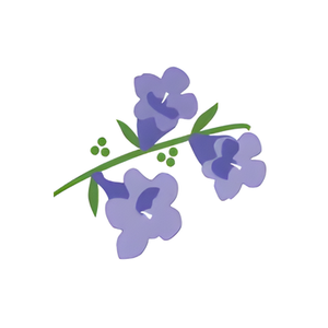 Jacaranda Living brand logo for jacarandaliving.com