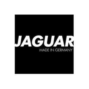 Jaguar brand logo for jaguar-solingen.com