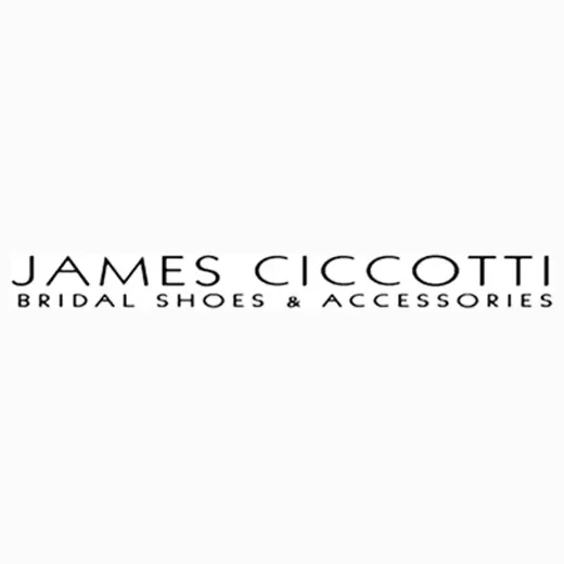 James Ciccotti brand logo for jamesciccotti.com