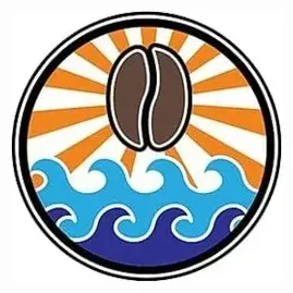 javasurf brand logo for javasurf.com
