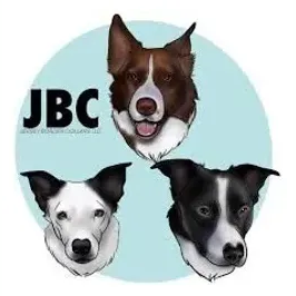 jerseybordercollars brand logo for jerseybordercollars.shop