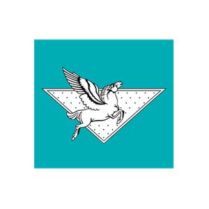 Jet-Setter brand logo for jet-setter.ca