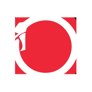 Jiu Jitsu Brotherhood brand logo for jiujitsubrotherhood.com