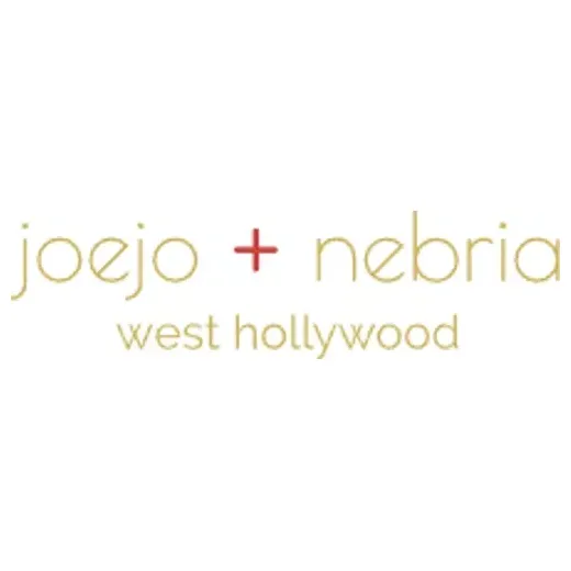 joejonebria brand logo for joejonebria.com