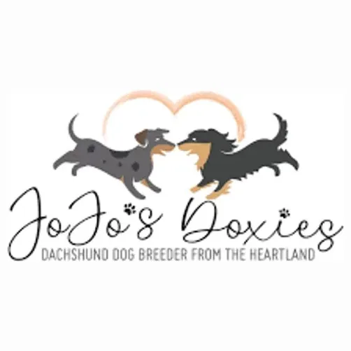 jojosdoxies brand logo for jojosdoxies.com