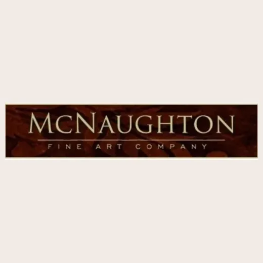Jon McNaughton brand logo for jonmcnaughton.com