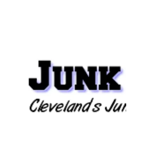 Junk Gone Today brand logo for junkgonetoday.com