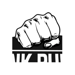Junk Punch brand logo for junk-punch.com