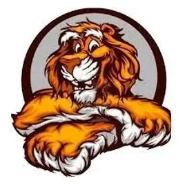 Junk Tigers brand logo for junktigers.com