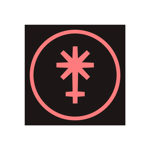 Juno Network brand logo for junonetwork.io