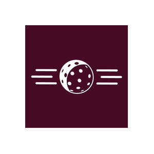 Just Pickleball brand logo for justpickleball.com.au